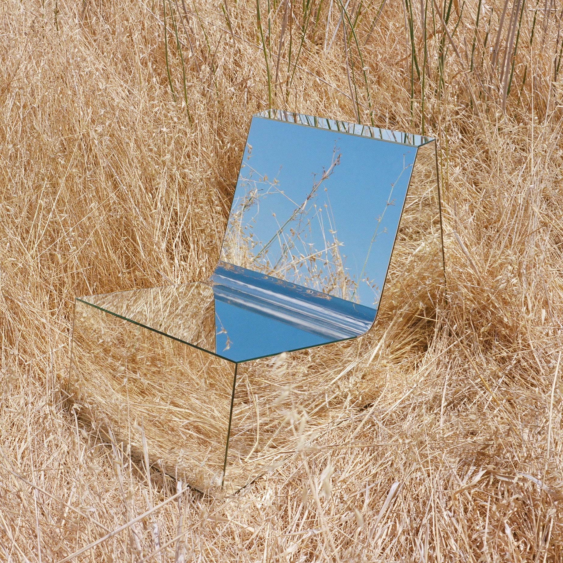 Reflex Lounge Chair